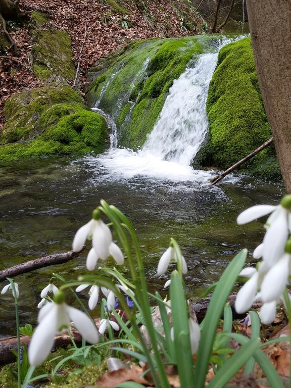 Pensiunea Piatra Graitoare Vartop Exteriér fotografie