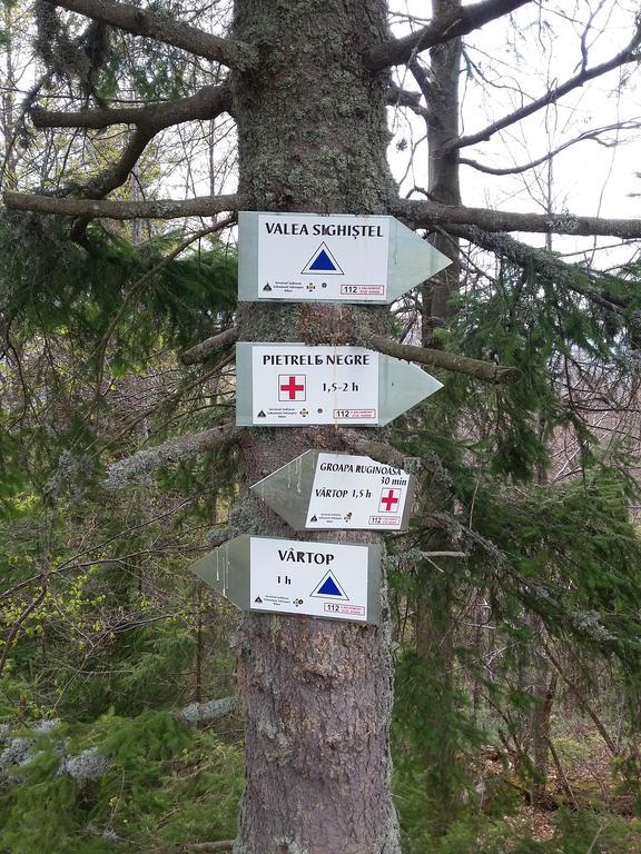 Pensiunea Piatra Graitoare Vartop Exteriér fotografie