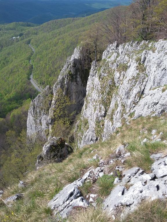 Pensiunea Piatra Graitoare Vartop Exteriér fotografie