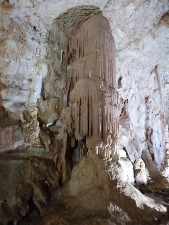 Pensiunea Piatra Graitoare Vartop Exteriér fotografie