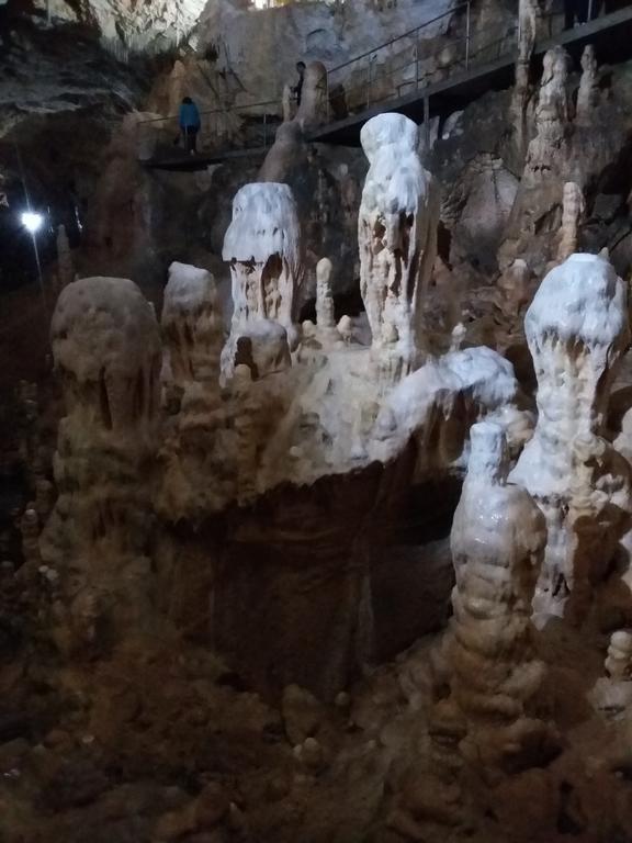 Pensiunea Piatra Graitoare Vartop Exteriér fotografie