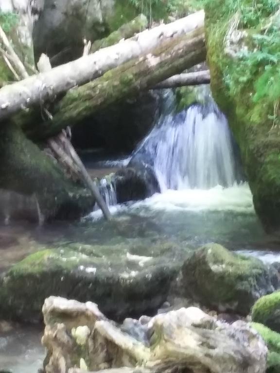 Pensiunea Piatra Graitoare Vartop Exteriér fotografie