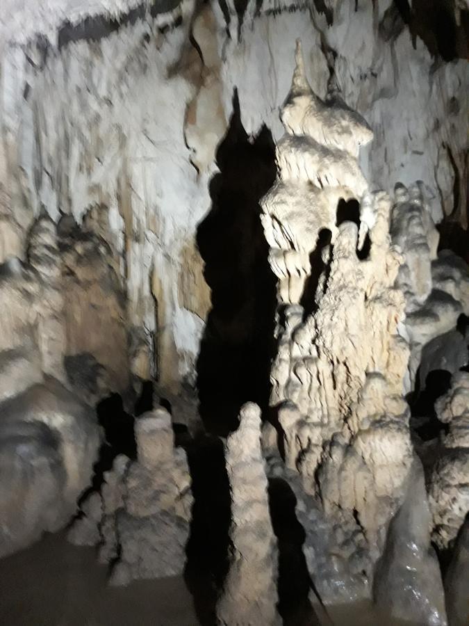 Pensiunea Piatra Graitoare Vartop Exteriér fotografie