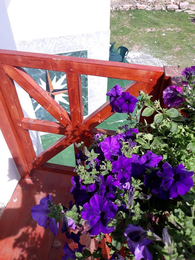 Pensiunea Piatra Graitoare Vartop Exteriér fotografie