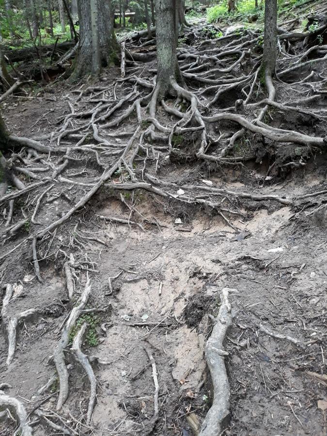 Pensiunea Piatra Graitoare Vartop Exteriér fotografie